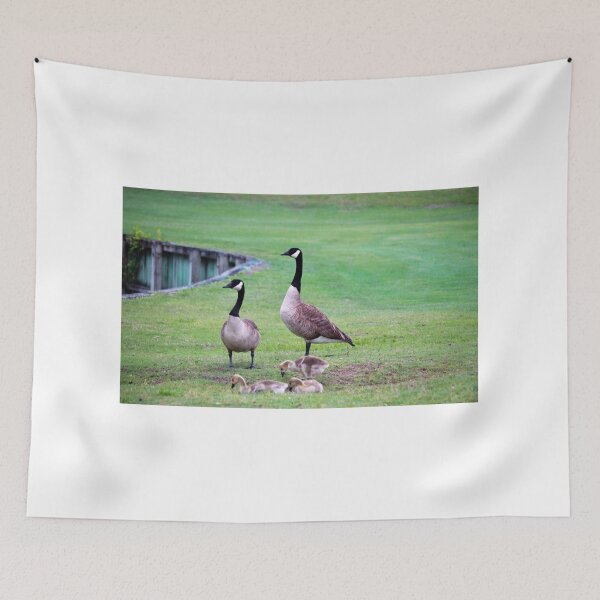 Item preview, Bird Family designed and sold by Cynthia48.
