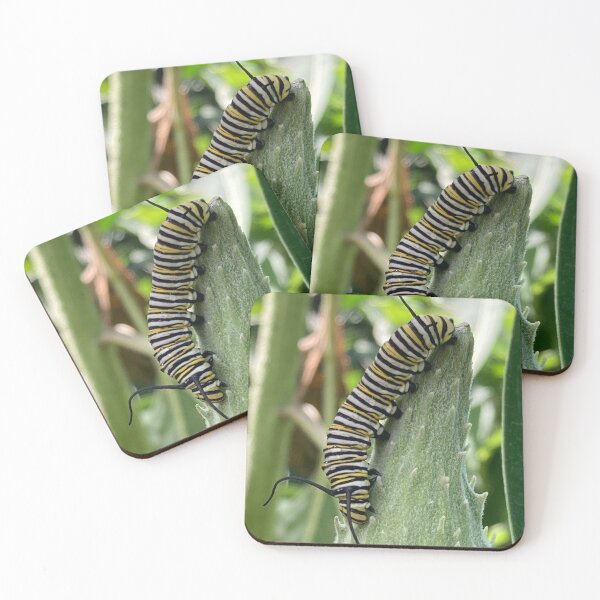 Item preview, Monarch Caterpillar in Milkweed designed and sold by BearFootStudios.