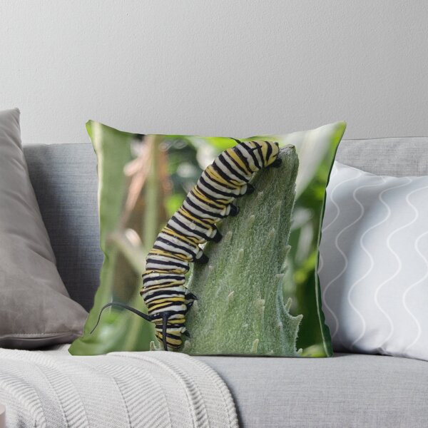 Item preview, Monarch Caterpillar in Milkweed designed and sold by BearFootStudios.