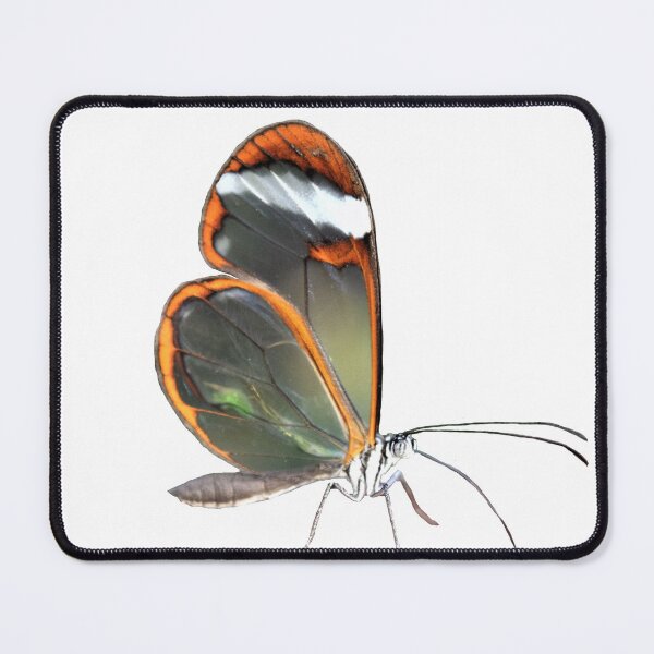 Item preview, Greta Oto butterfly with no background designed and sold by Ez-art-stop.