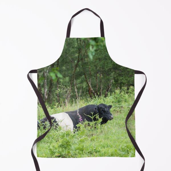 Item preview, Belted Galloway Bull designed and sold by Jane Stanley Photography.