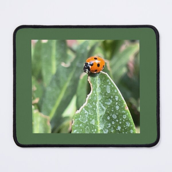 Item preview, Foto de mariquita designed and sold by A-inProgress.