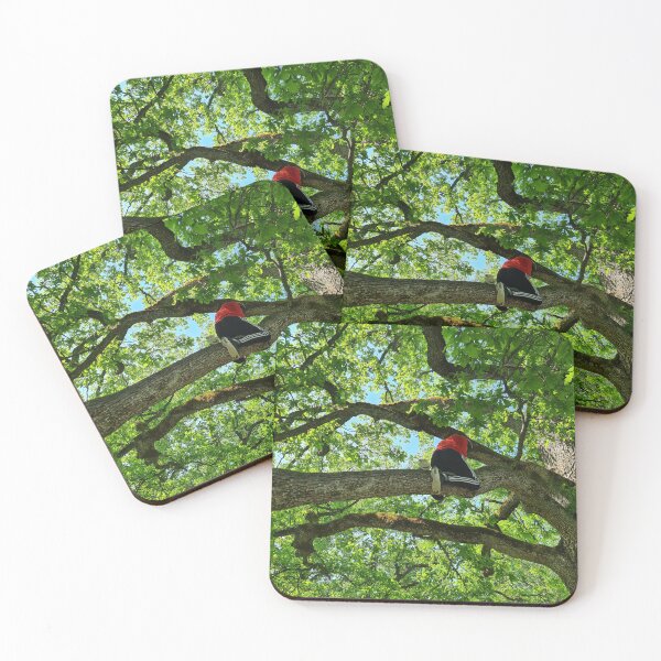 Item preview, A kid in a tree designed and sold by bluerosesart37.