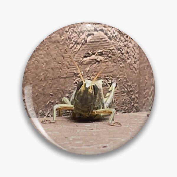 Item preview, Cute Grasshopper Photo designed and sold by A-inProgress.