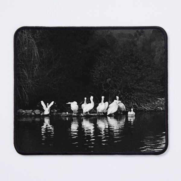 Item preview, Black and white photo of white pelicans designed and sold by vwagenet.