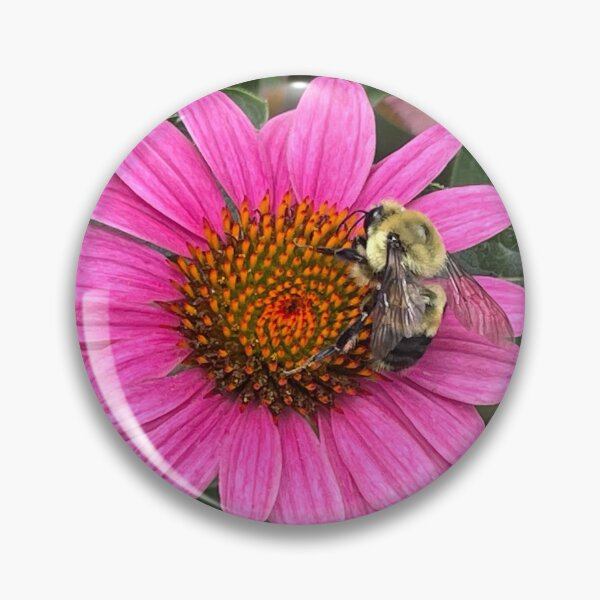 Item preview, Nevada Bumblebee on a Pink Coneflower Photo designed and sold by A-inProgress.