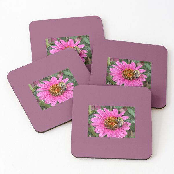 Item preview, Nevada Bumblebee on a Pink Coneflower Photo designed and sold by A-inProgress.