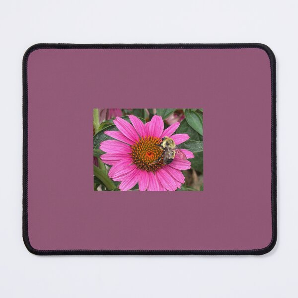 Item preview, Nevada Bumblebee on a Pink Coneflower Photo designed and sold by A-inProgress.