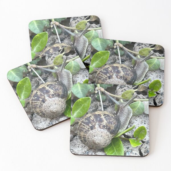 Item preview, Cute Snail Photo designed and sold by A-inProgress.