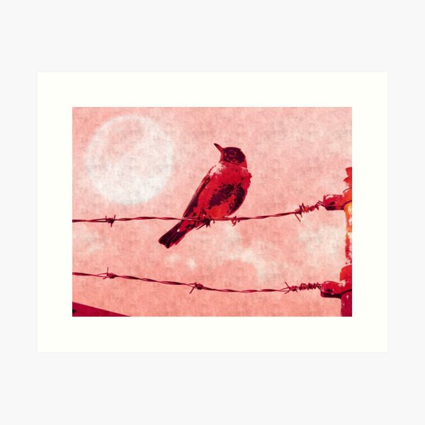 Birds On Wire Wall Art for Sale | Redbubble Birds On Wire Wall Art for Sale | Redbubble