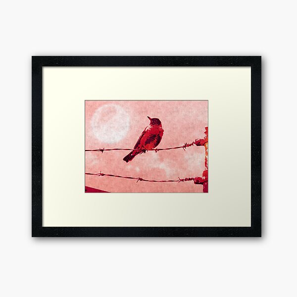 Bird on the Wire Framed Art Print