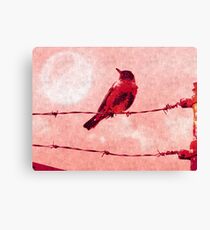 Bird on the Wire Canvas Print