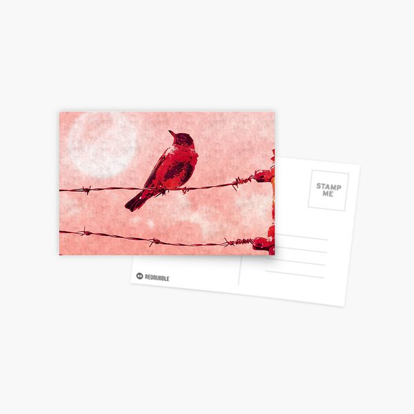 Bird on the Wire Postcard