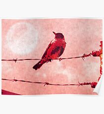 Bird on the Wire Poster
