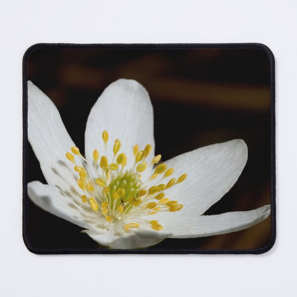Item preview, Glowing in the dark. Wood anemone designed and sold by Jouko Lehto Photography.