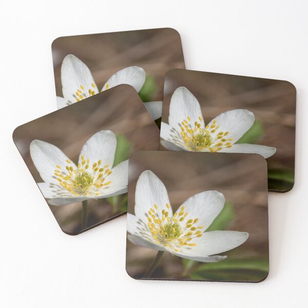 Item preview, All the brightness. Wood anemone designed and sold by Jouko Lehto Photography.