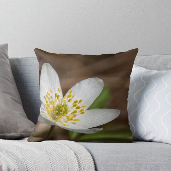 Item preview, All the brightness. Wood anemone designed and sold by Jouko Lehto Photography.