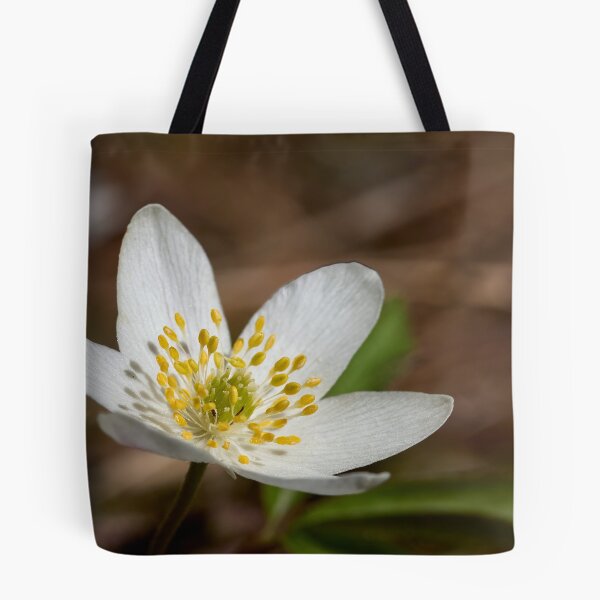 Item preview, All the brightness. Wood anemone designed and sold by Jouko Lehto Photography.