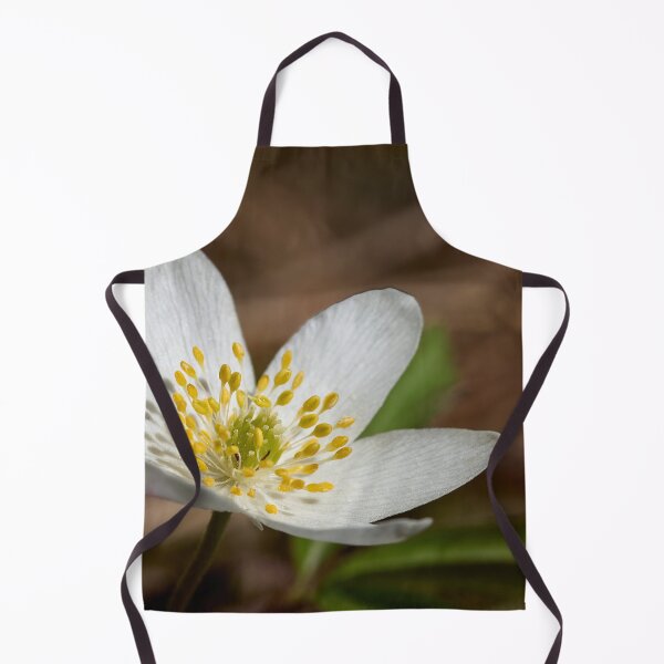 Item preview, All the brightness. Wood anemone designed and sold by Jouko Lehto Photography.