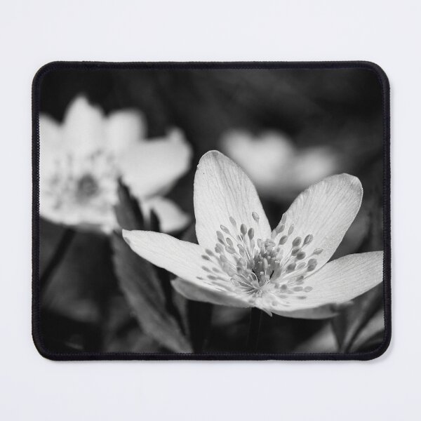 Item preview, Wood anemone duo bw designed and sold by Jouko Lehto Photography.