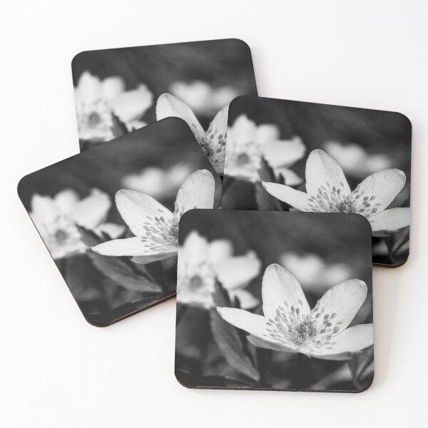 Item preview, Wood anemone duo bw designed and sold by Jouko Lehto Photography.