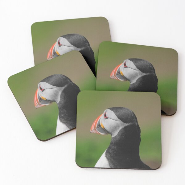 Item preview, Puffin designed and sold by photobytableau.
