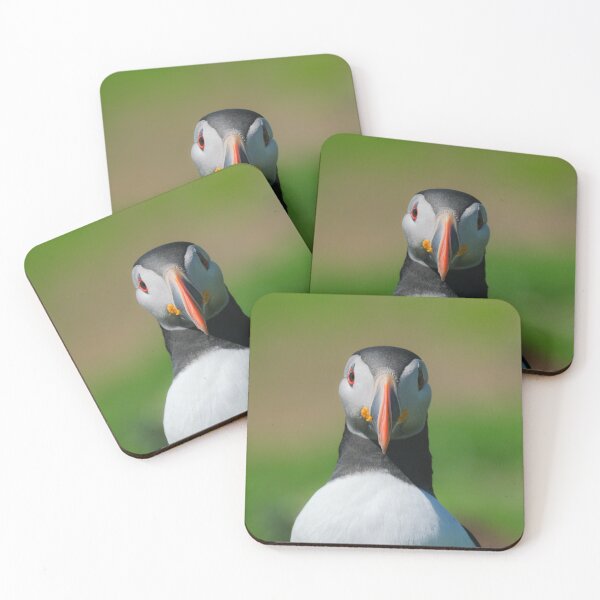 Item preview, Puffin designed and sold by photobytableau.