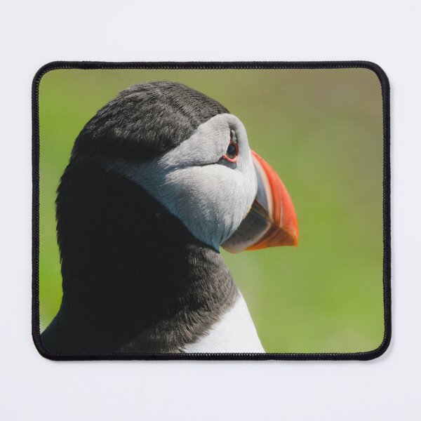 Item preview, Puffin designed and sold by photobytableau.