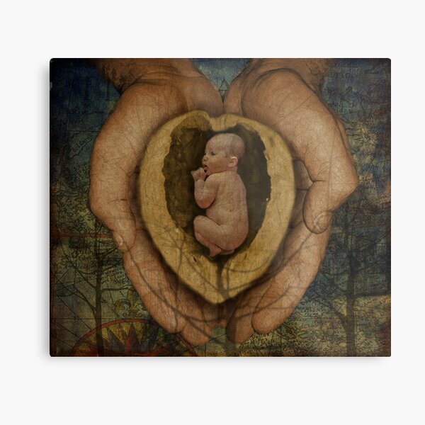 Life...In A Nutshell Metal Print