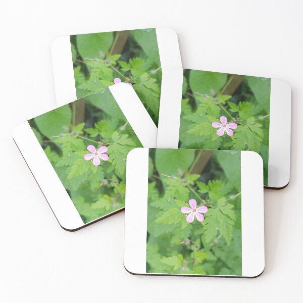 Item preview, Cranesbill flower designed and sold by Oubaitory.