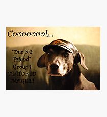 K9 Feature Challenge Photographic Print