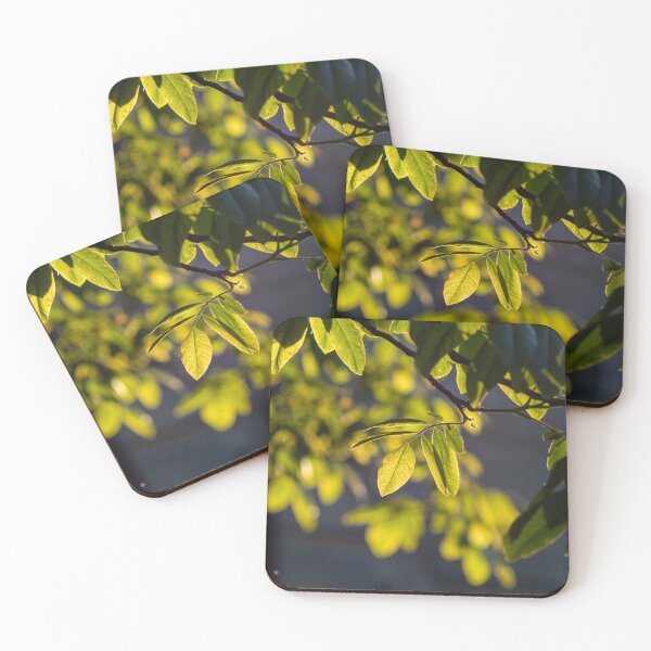 Item preview, walnut leaves  designed and sold by oleg gendel.
