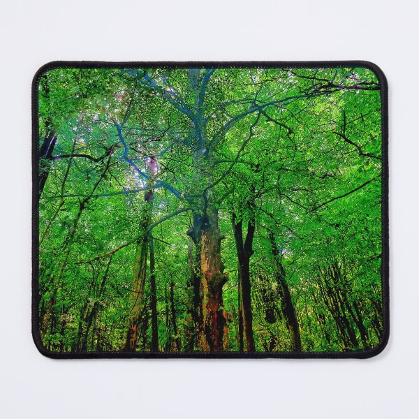 Item preview, In the heart of the woods! (I) designed and sold by dawnsm.