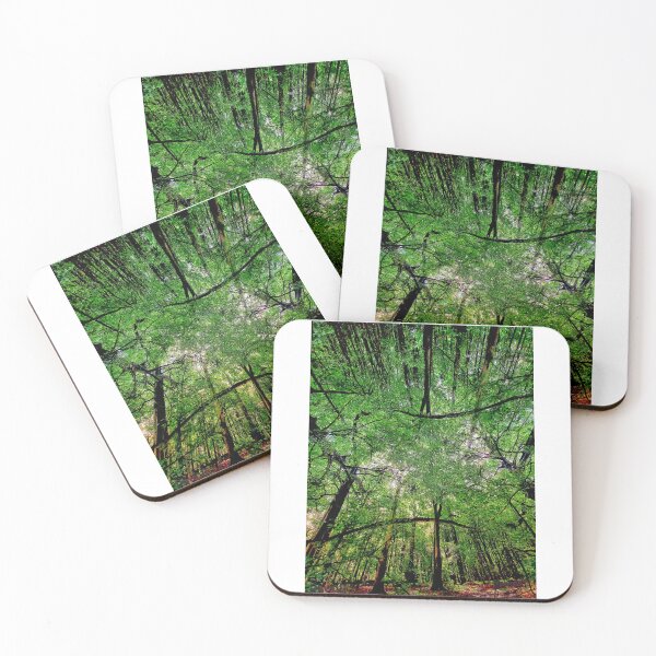 Item preview, In the Heart of the Woods! (II) designed and sold by dawnsm.