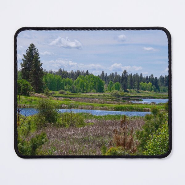 Item preview, Photo of marsh designed and sold by Cblifeisgood.