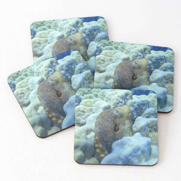 Item preview, Day Octopus Cyanea Red Sea Marsa Alam  designed and sold by Ahmed ElMekawy.