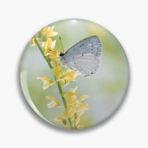 Item preview, Silvery Blue designed and sold by Anita Oakley.