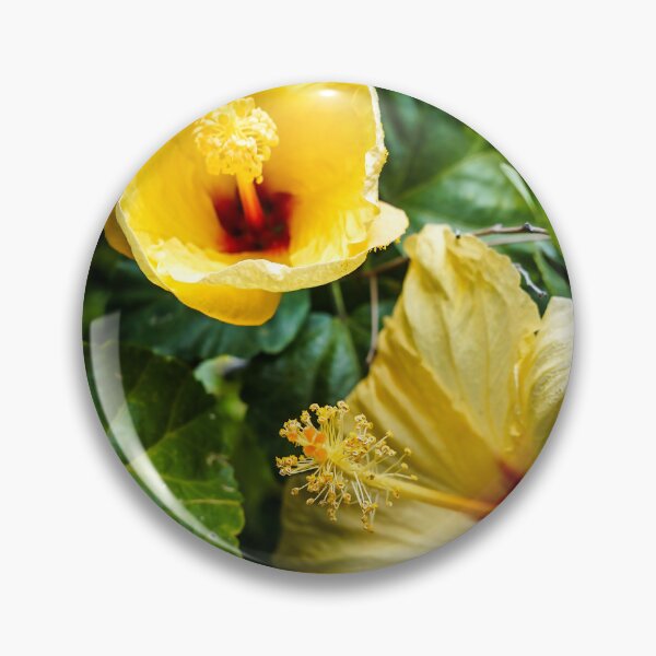 Item preview, Yellow Hibiscus In The Garden 2 designed and sold by Douglas E. Welch Design and Photography.