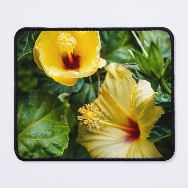 Item preview, Yellow Hibiscus In The Garden 2 designed and sold by Douglas E. Welch Design and Photography.
