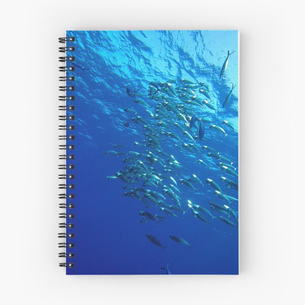 Item preview, Fish School Swimming Underwater at Marsa Alam Red Sea designed and sold by Ahmed ElMekawy.