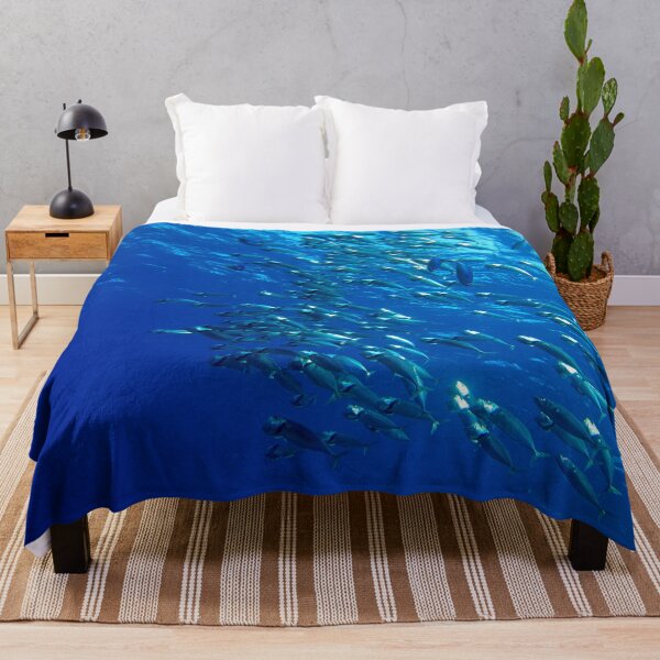 Item preview, Fish School Swimming Underwater at Marsa Alam Red Sea designed and sold by Ahmed ElMekawy.