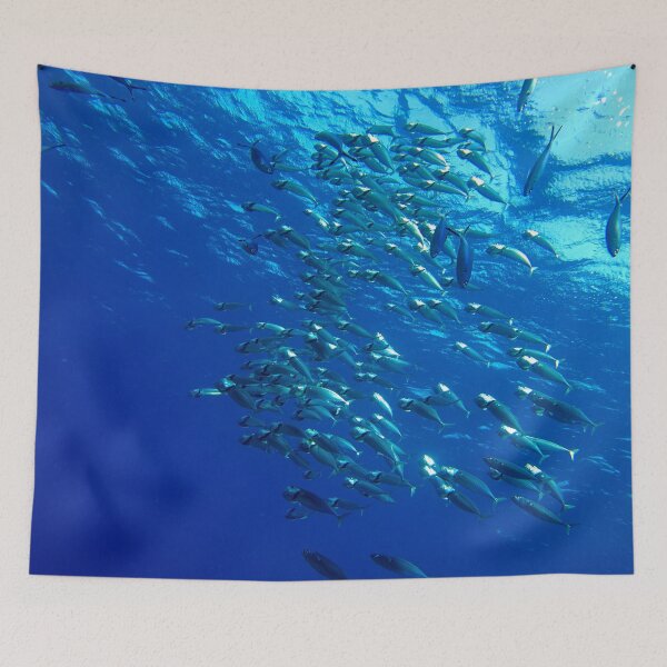 Item preview, Fish School Swimming Underwater at Marsa Alam Red Sea designed and sold by Ahmed ElMekawy.