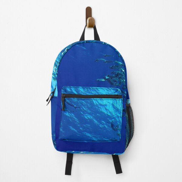 Item preview, Fish School Swimming Underwater at Marsa Alam Red Sea designed and sold by Ahmed ElMekawy.