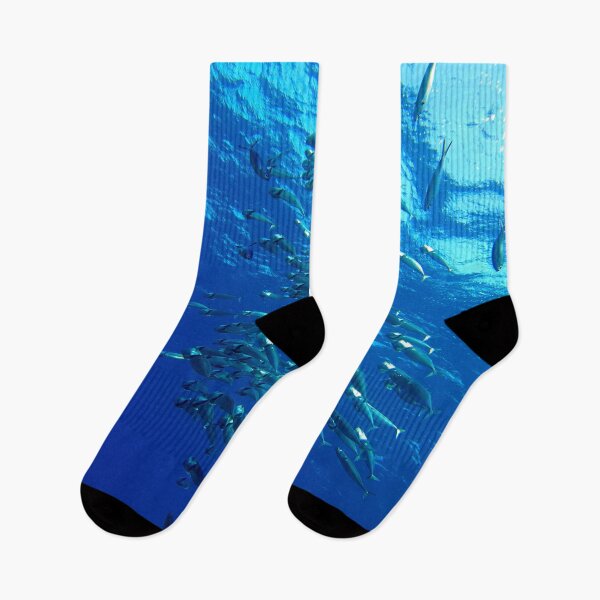 Item preview, Fish School Swimming Underwater at Marsa Alam Red Sea designed and sold by Ahmed ElMekawy.