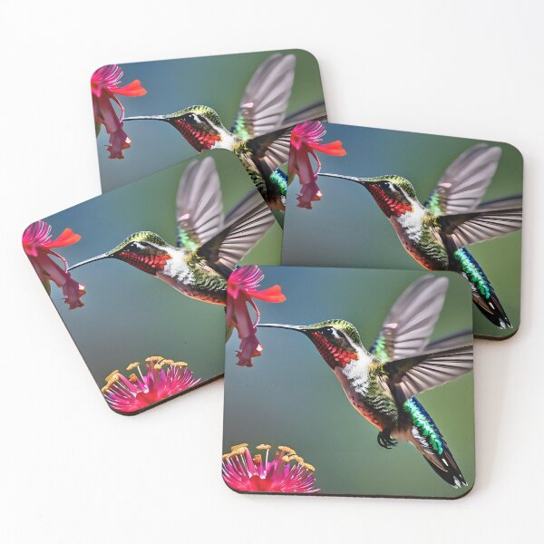 Item preview, Male Ruby Throated Hummingbird designed and sold by Hall-O-Gram.