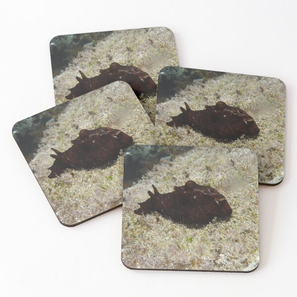 Item preview, sea Hair  designed and sold by 13dragoons.