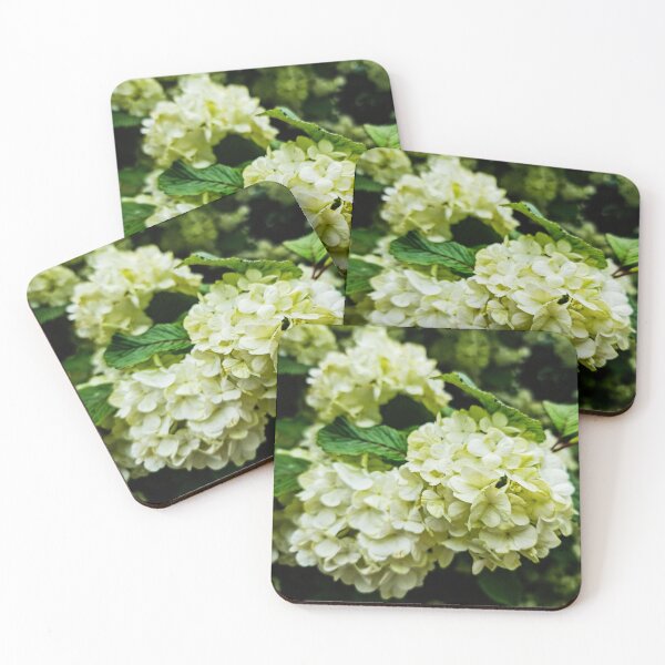Item preview, White Flowers 1 designed and sold by nastiaart.