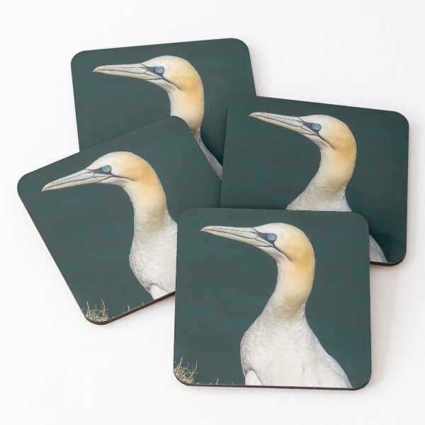 Item preview, Gannet Portrait designed and sold by Jay Mayne.
