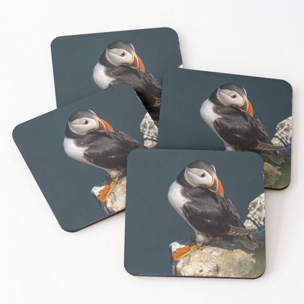 Item preview, Puffin on the Edge designed and sold by Jay Mayne.