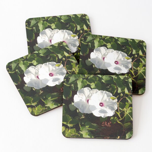Item preview, Wild Potato Vine designed and sold by gistinker.